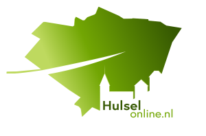 Hulsel Online